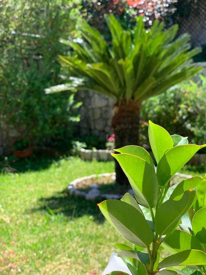Villa Theosis Νικιάνα Εξωτερικό φωτογραφία